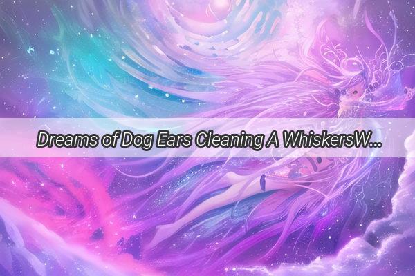  Dreams of Dog Ears Cleaning A WhiskersWorthy Adventure in the Night